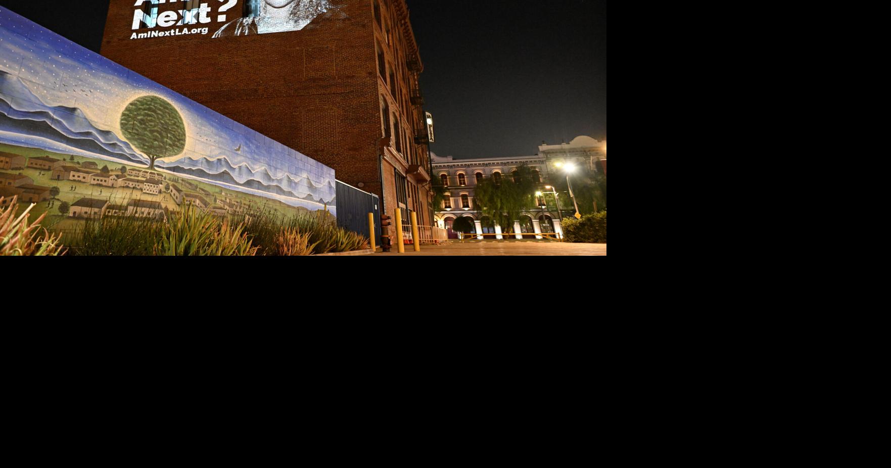 California Community Foundation Launches Mass Public Art Campaign to Protest Against ICE Raids