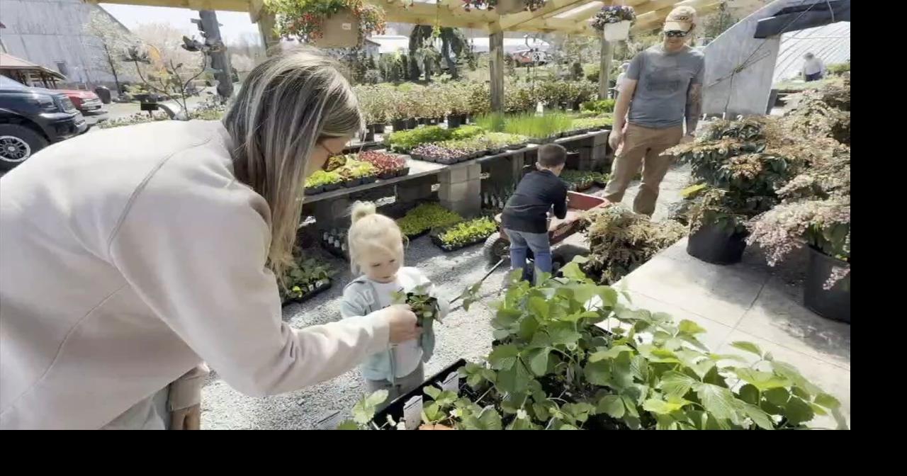 ‘People are jonesing for flowers’: Warm weather sparks gardening rush