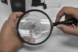 How to assess microplastics in our bodies? Scientists have a plan