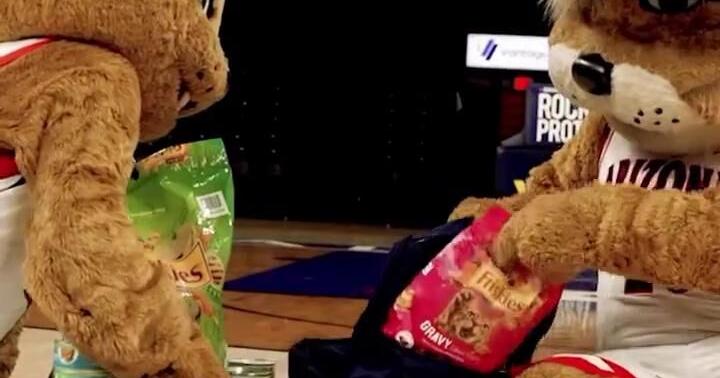 Friskies Teams Up with Arizona Wildcats to Donate 1,000 Meals per Point Scored to Tucson Shelter Cats
