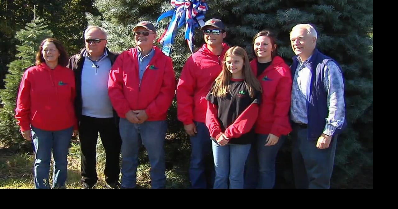 This year's White House Christmas tree picked from Schuylkill County