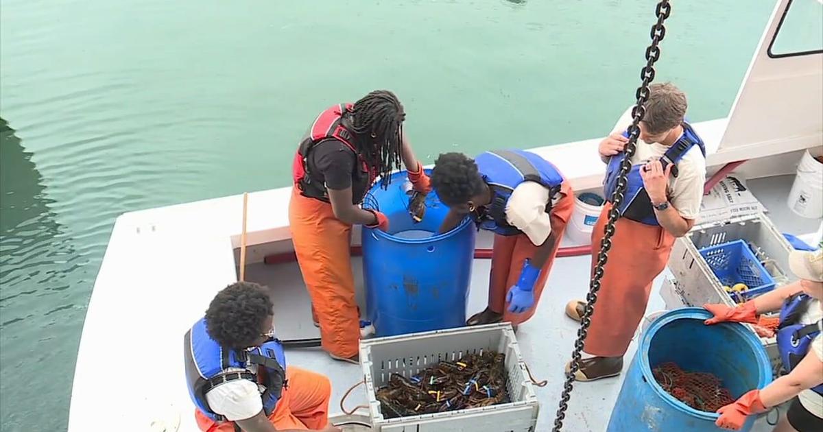 High schoolers learn the trade of lobstering in summer apprenticeship