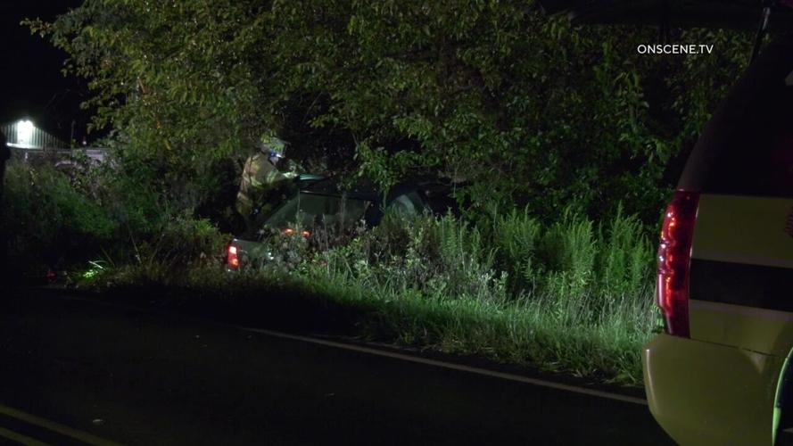 Man dead after car hits tree in Springfield Township | Southeastern ...