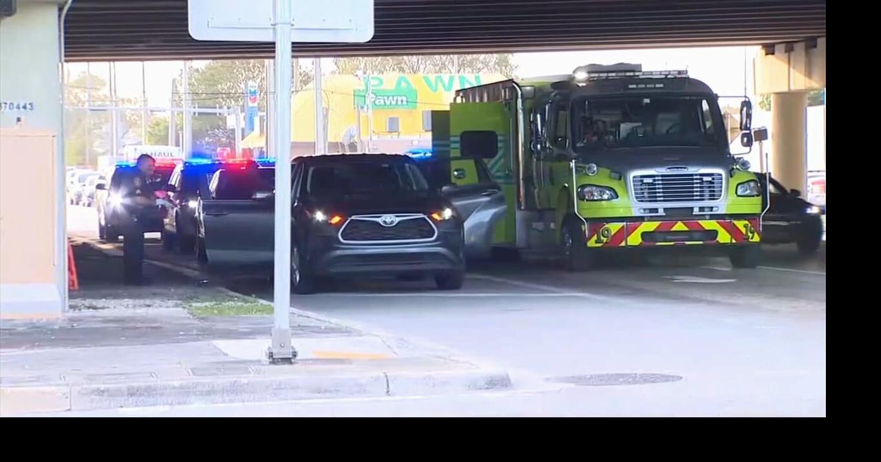 Woman delivers baby under Miami overpass during Lyft ride Good News