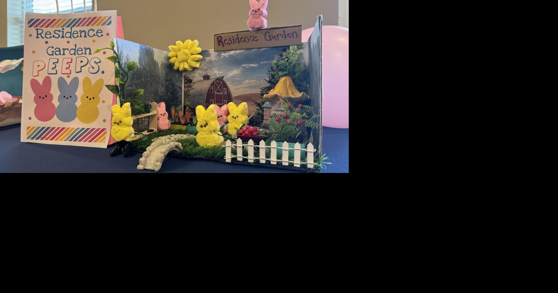 Peeps art show raises money for Alzheimer's Association | Reading Area ...