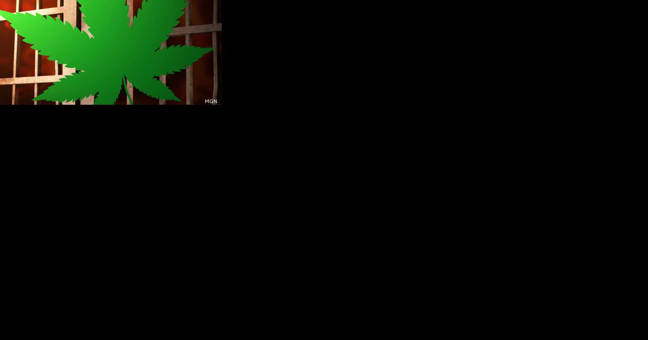 Several people charged for involvement in large-scale marijuana grow operation in Lower Macungie - Vimarsana News