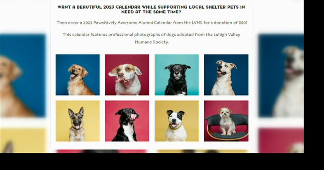Preorders now available for Lehigh Valley Humane Society calendars