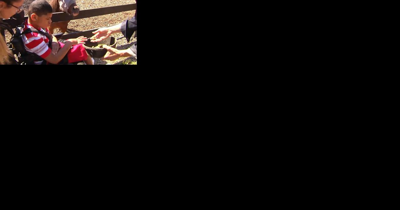 Adopt Lehigh Valley Kids: Jackson - Vimarsana News