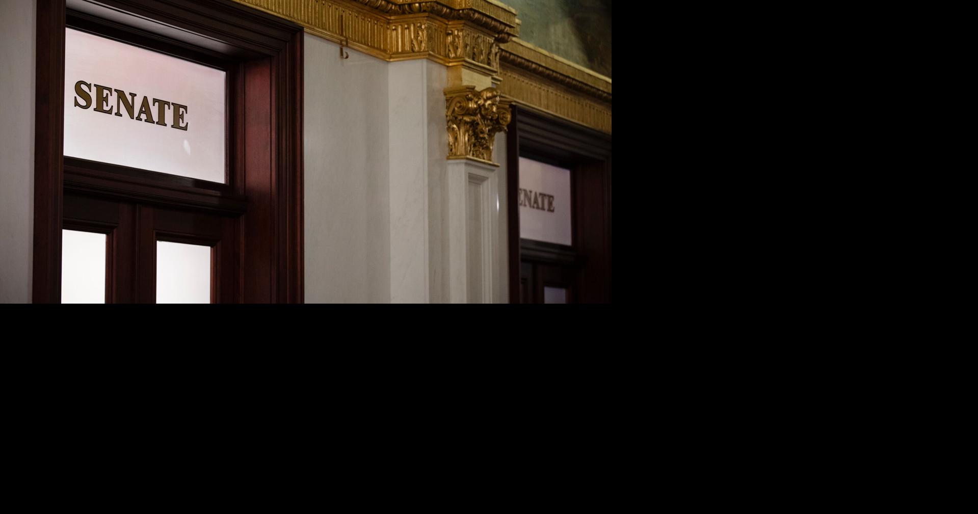 Pa. election 2024: The state Senate races to watch as Democrats seek ...
