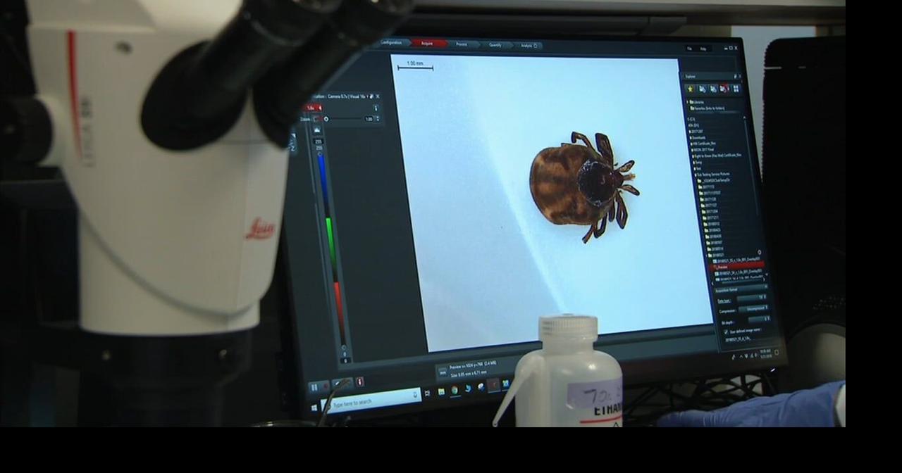 Health Beat: Researchers anticipate bad tick season