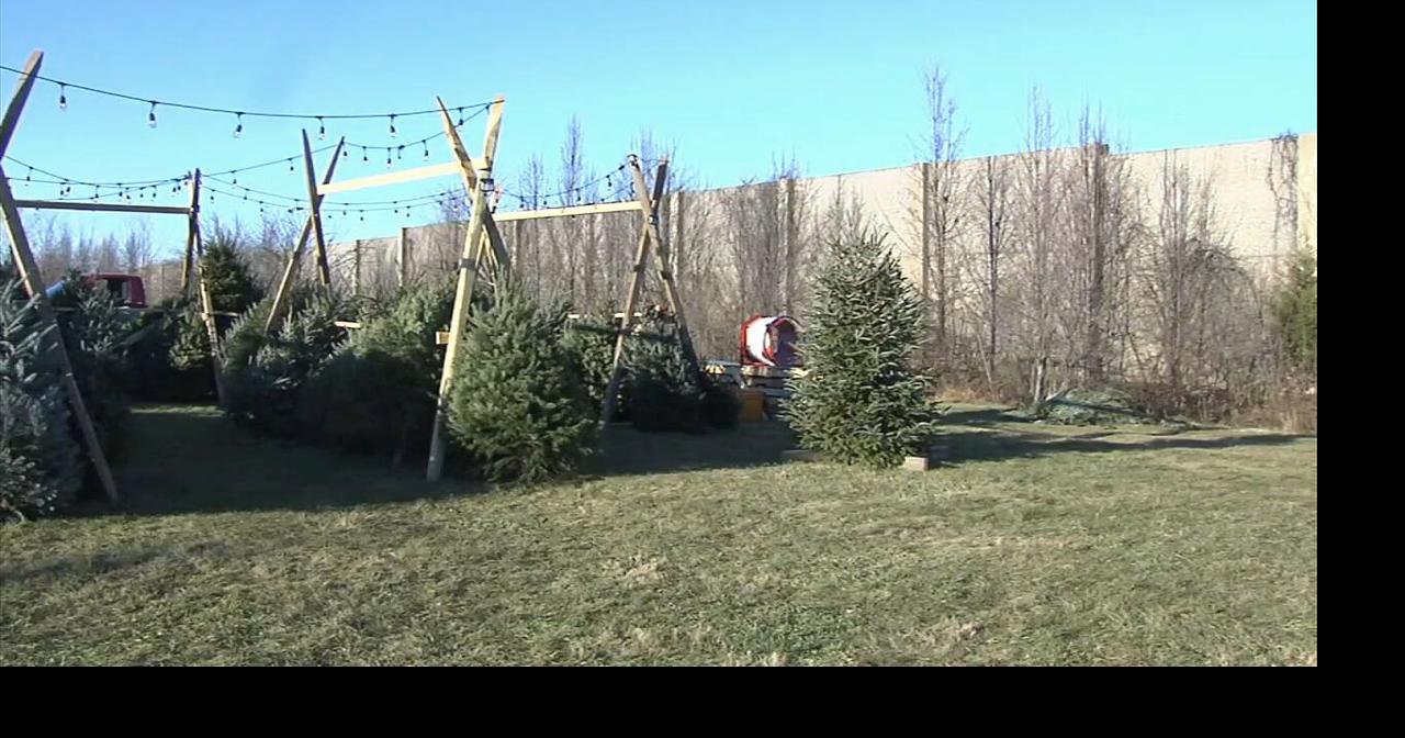 Couple helps community by giving out Christmas trees in exchange for ...