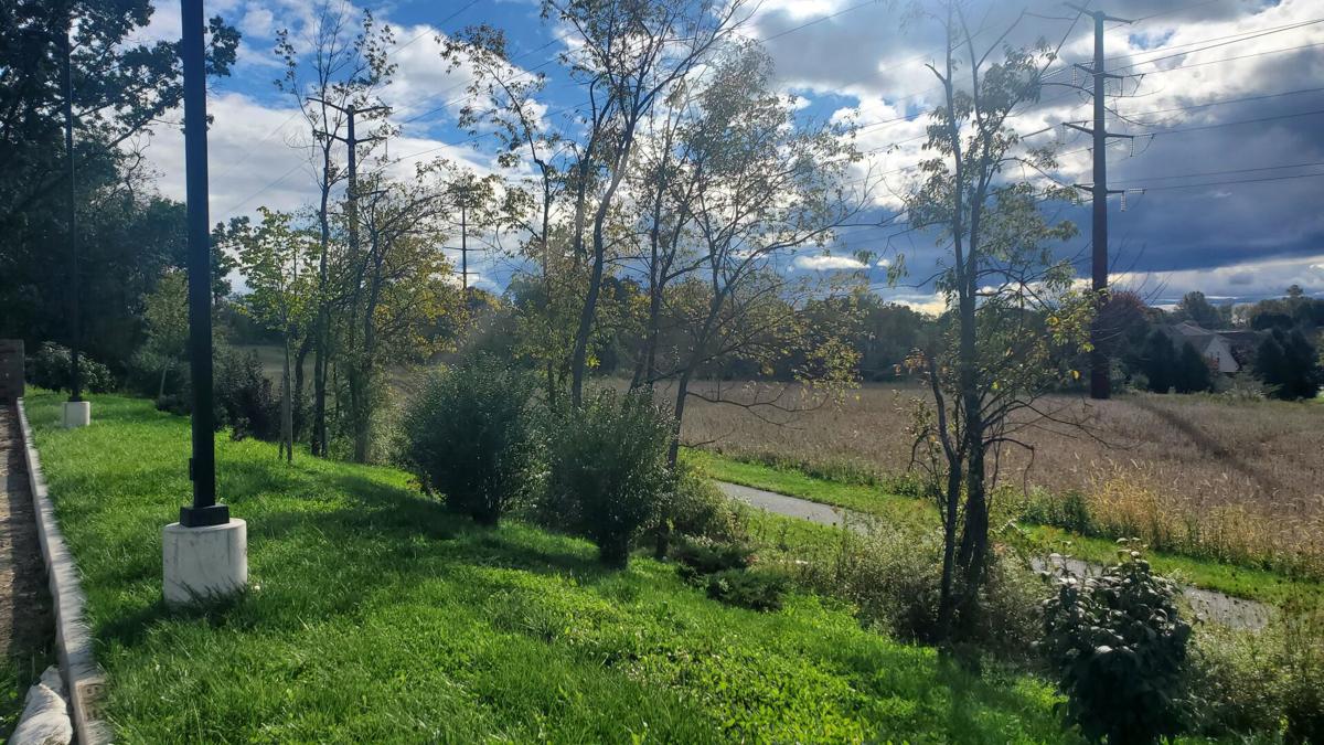 26 More People Come Forward With Mountain Lion Sightings in NJ