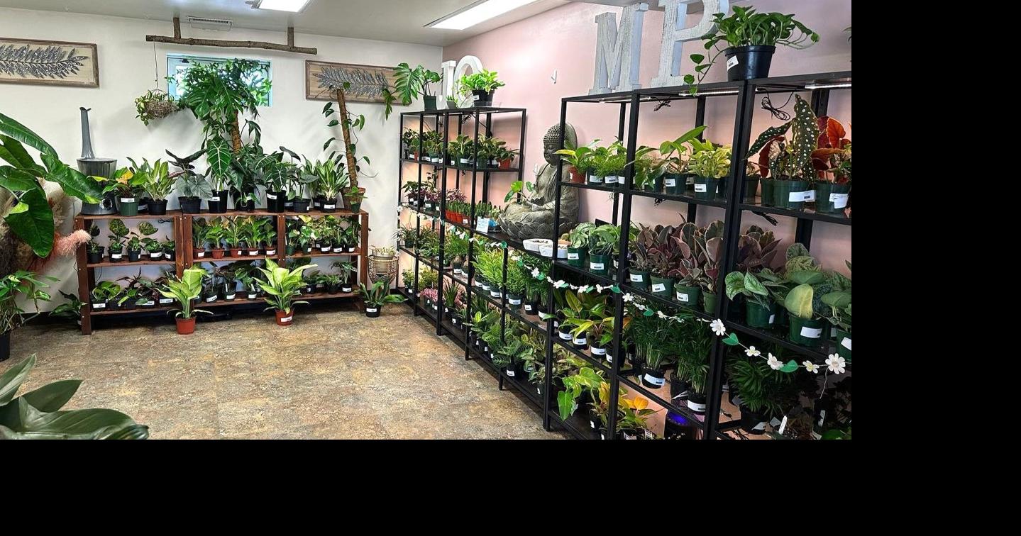 Popular plant shop moving, adding new ‘gourmet soda & beverage bar’ in ...