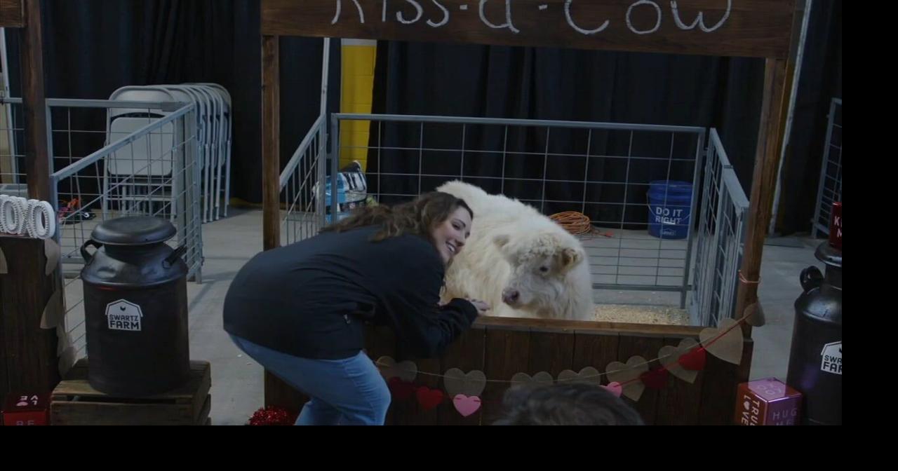 From charcuterie to cow cuddling, Pennsylvania Farm Show starts ...