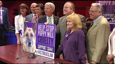 Downton Abbey Actress Lends Support To Pa Bill Banning Sale Of Puppy Mill Animals In Pet Stores News Wfmz Com