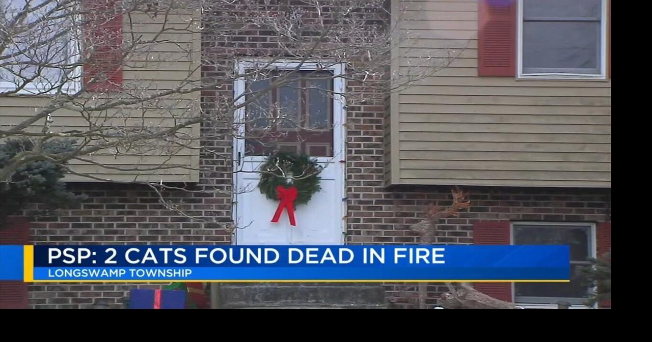 Crews rescue pets from Berks County house fire | Berks Regional News ...