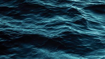 Ocean Generaic Crayola, OceanX partner to educate new generation on the oceans ...