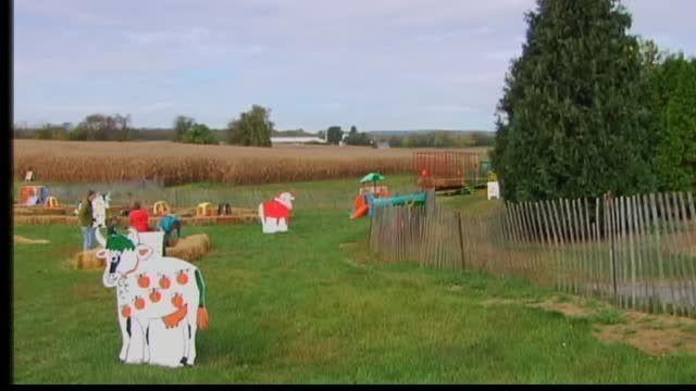 Celebrate Fall At Oley Turnpike Dairy Berks Regional News Wfmz Com