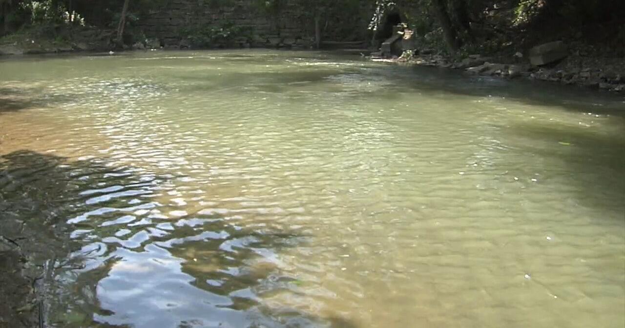 Bushkill Creek freely flowing into the Delaware River: How that's expected to make for a healthier ecosystem - Vimarsana News