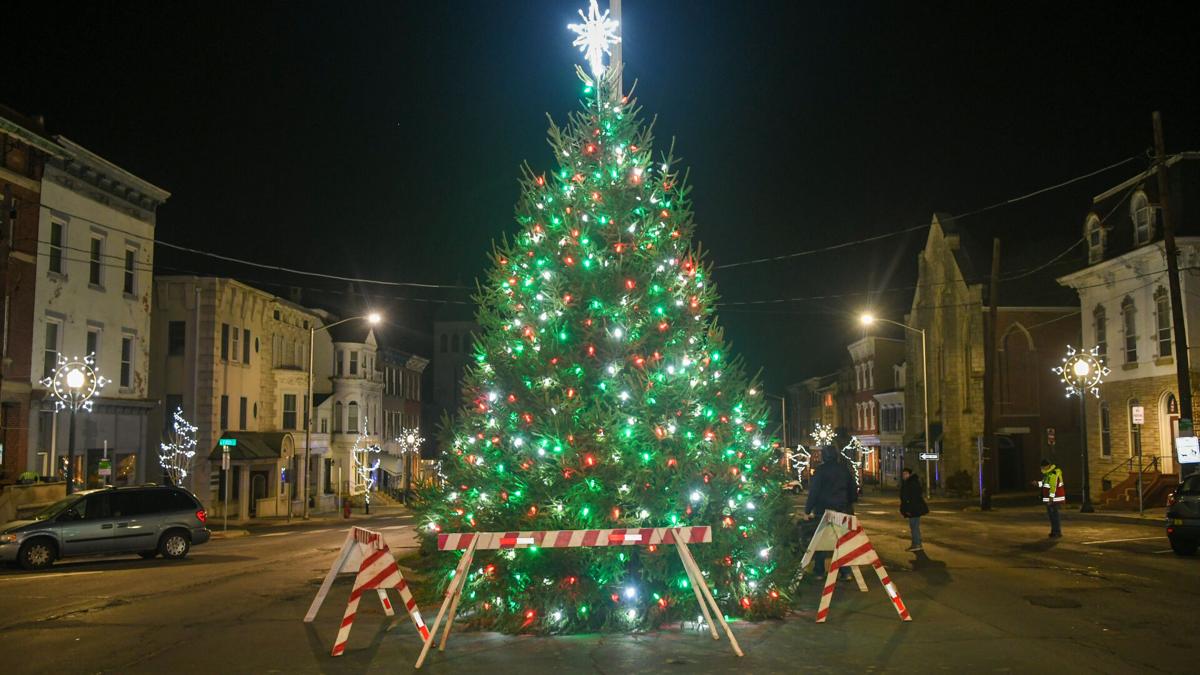 Pottsville Christmas Tree Lights 2022 Pottsville Christmas Tree | | Wfmz.com