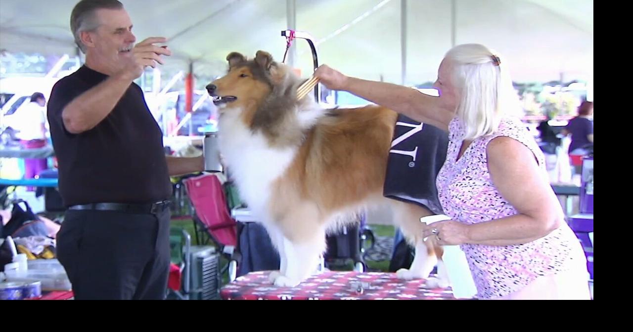 Aiming for top dog: Macungie Memorial Park welcomes annual dog show