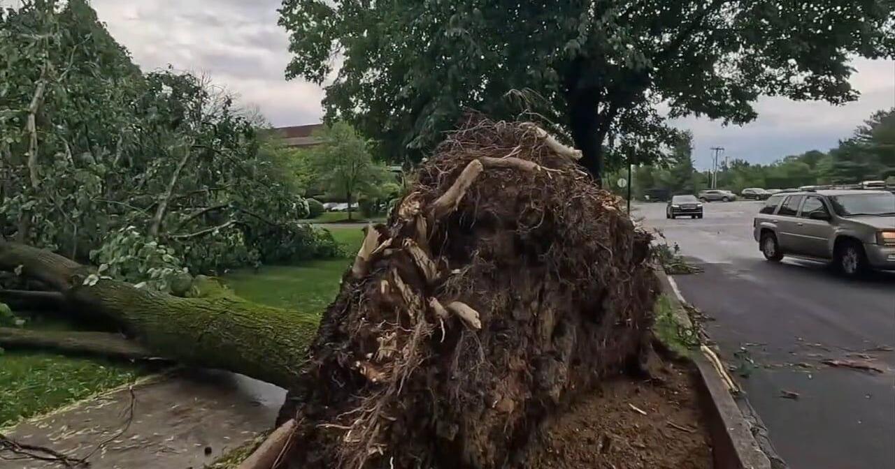 Strong storm topples trees in the Lehigh Valley - Vimarsana News