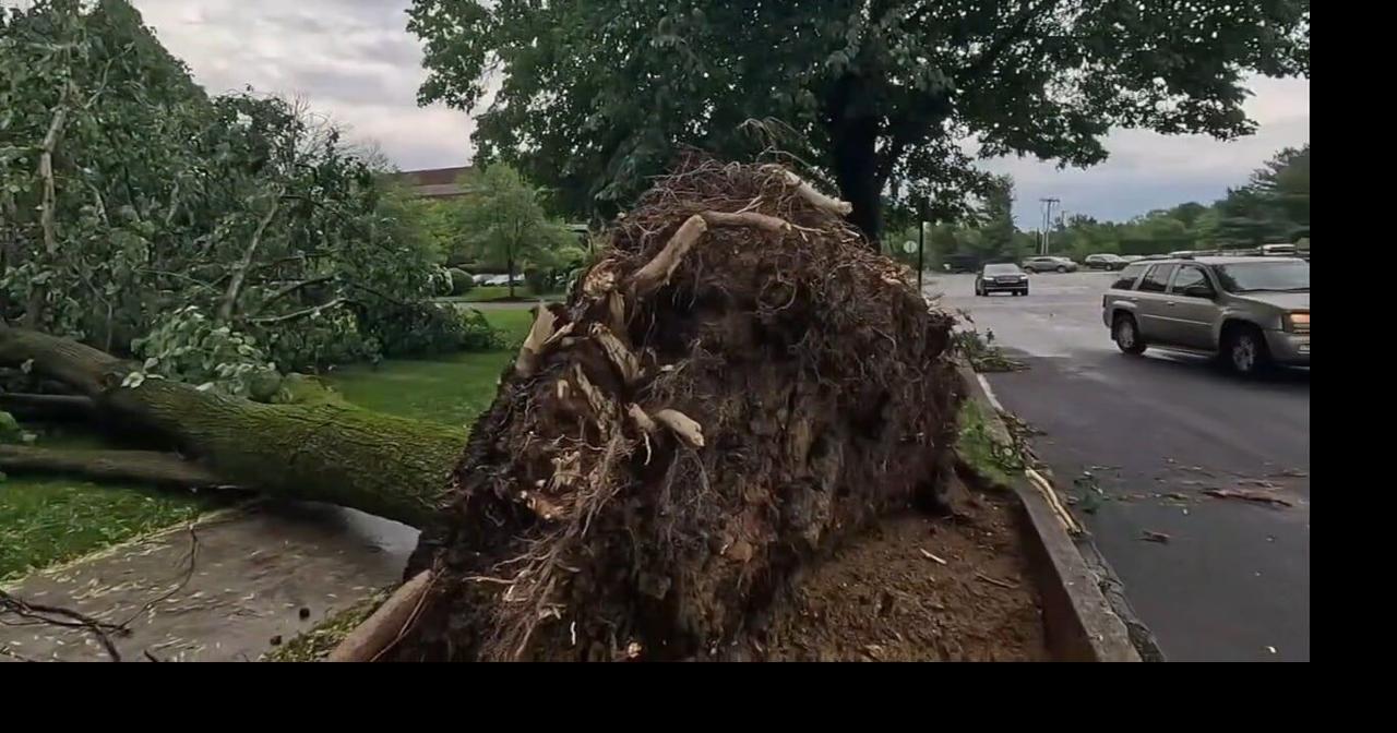 Strong storm topples trees in the Lehigh Valley | Lehigh Valley ...