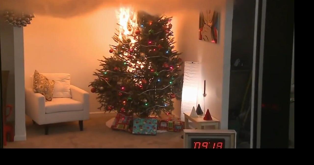 Whitehall fire chief offers tips to prevent Christmas tree fires Lehigh Valley Regional News