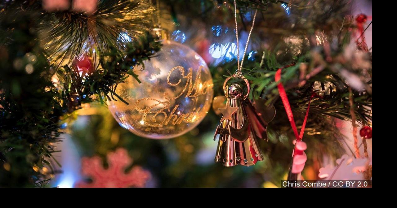 Things to do Bethlehem Christmas trees on display Outandabout