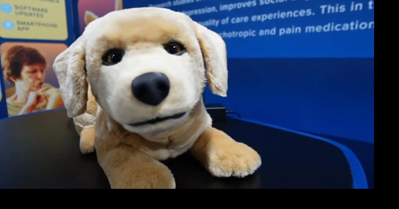 What the Tech? Eureka Park: The Epicenter of Innovation | What The Tech ...