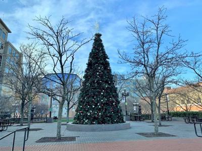 Allentown Christmas Tree Collection 2022 Agenda 69: Ceremonia De Iluminación Del Árbol De Navidad De Allentown |  Comunidad | Wfmz.com