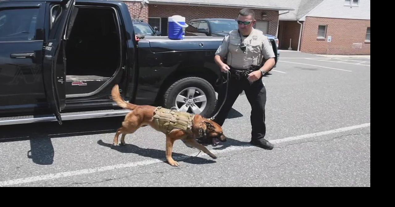 North Coventry police K9 named in honor of fallen trooper