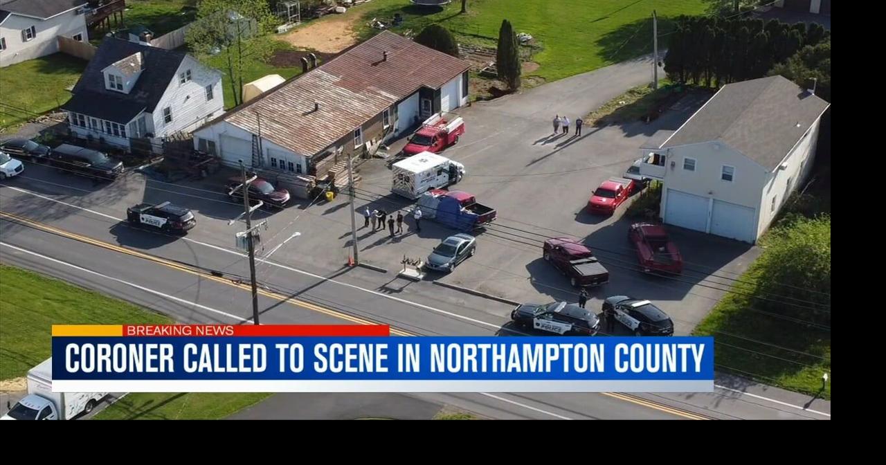 Coroner called after pedestrian hit in Plainfield Twp. | Video | wfmz.com