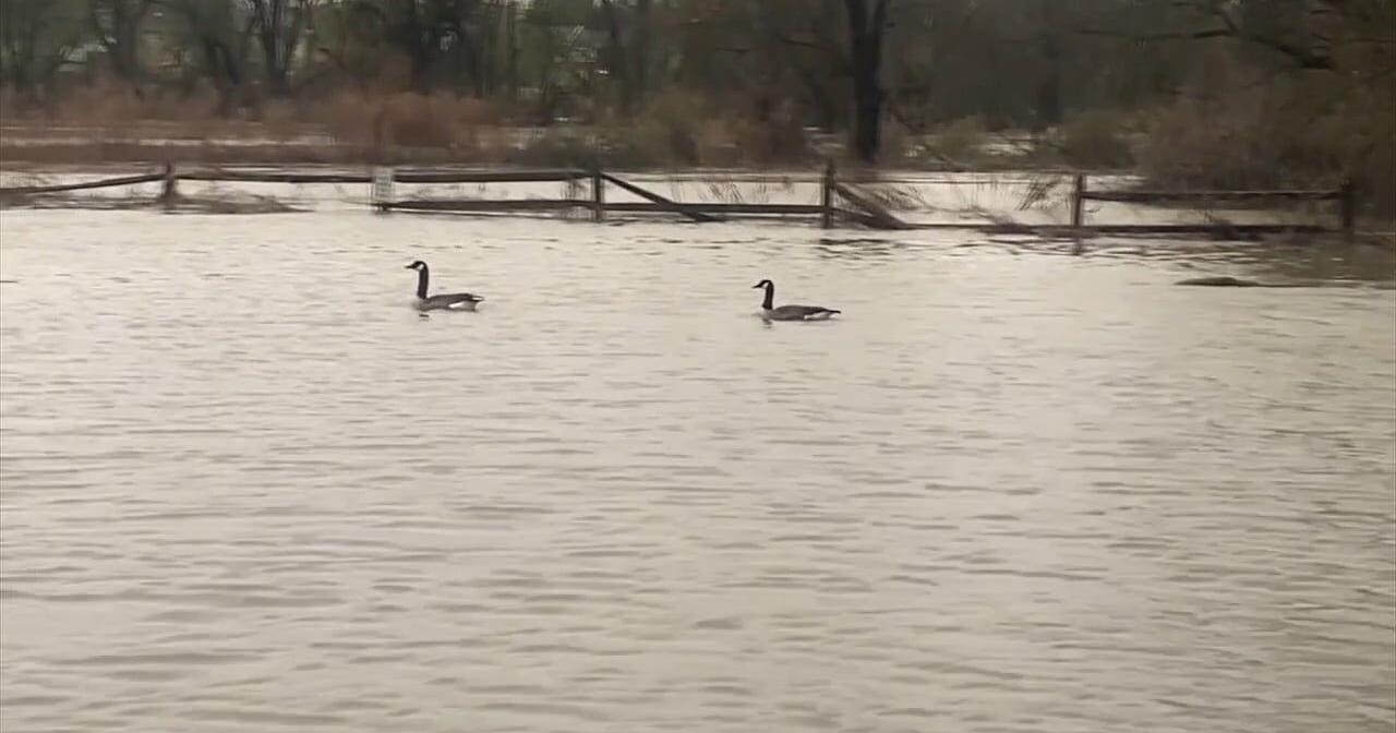 'It's a mess': As areas deal with flooding, residents near 1 creek say it happens all too often - Vimarsana News