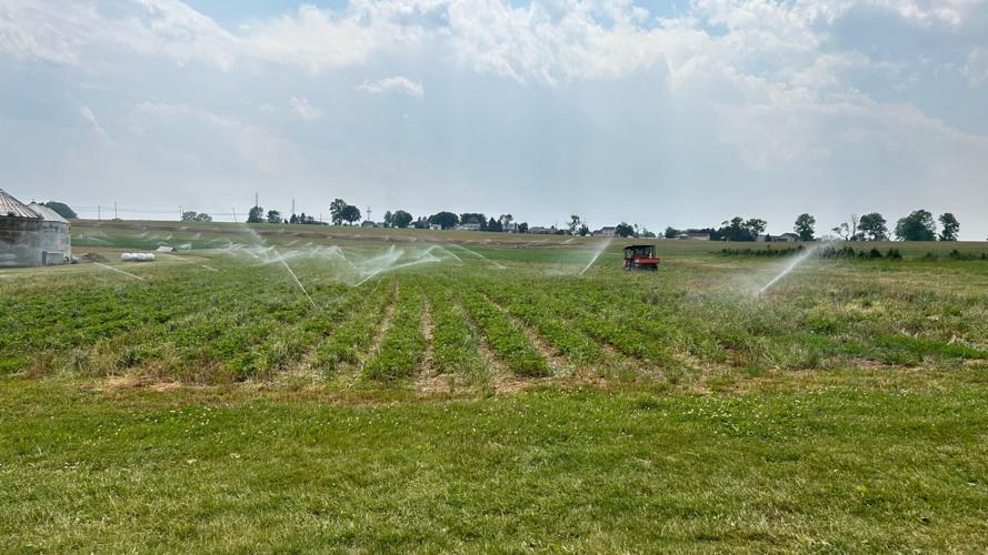 Dry weather causing concerns at local farms; Seiple Farms closes