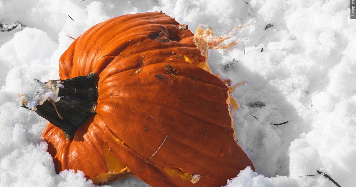 Montco issues Code Blue cold weather emergency for Monday night ...