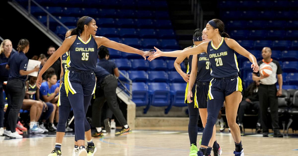 Dallas Wings Score a Slam Dunk with NetSuite | News
