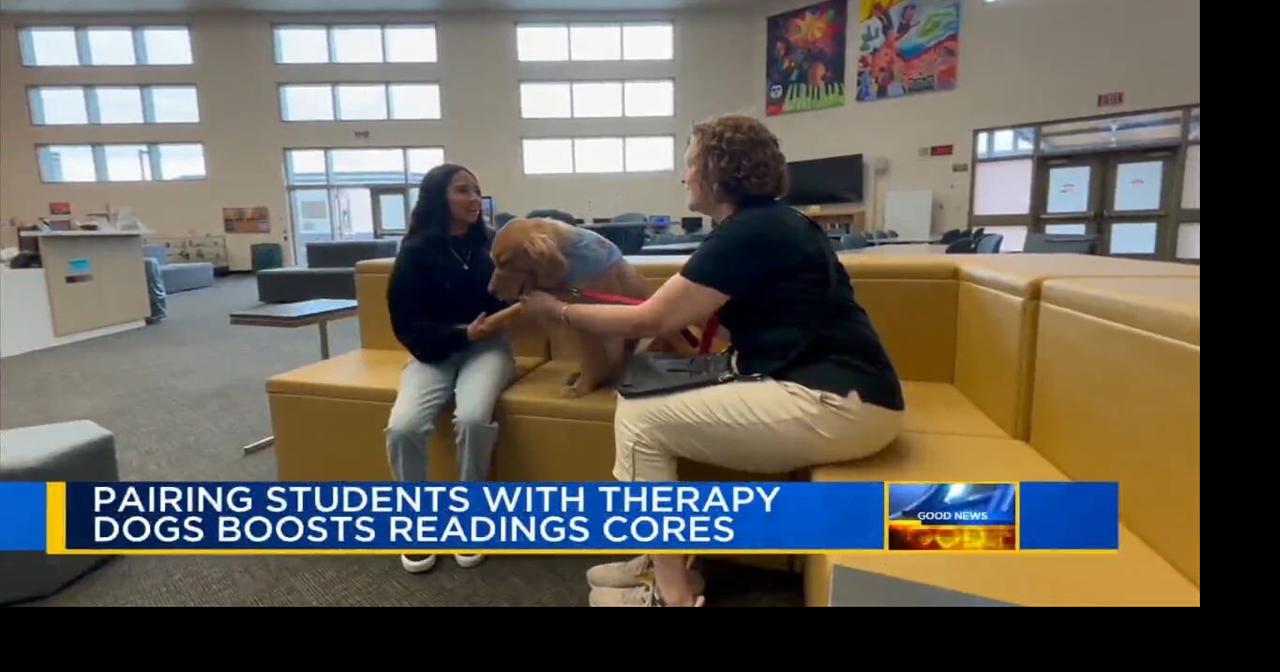 High school uses therapy dogs to help boost students' reading levels ...
