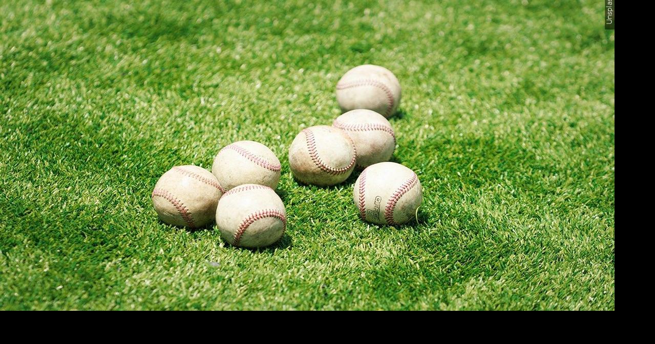 Leones del Esgido: Dominican League Leaders | Sports