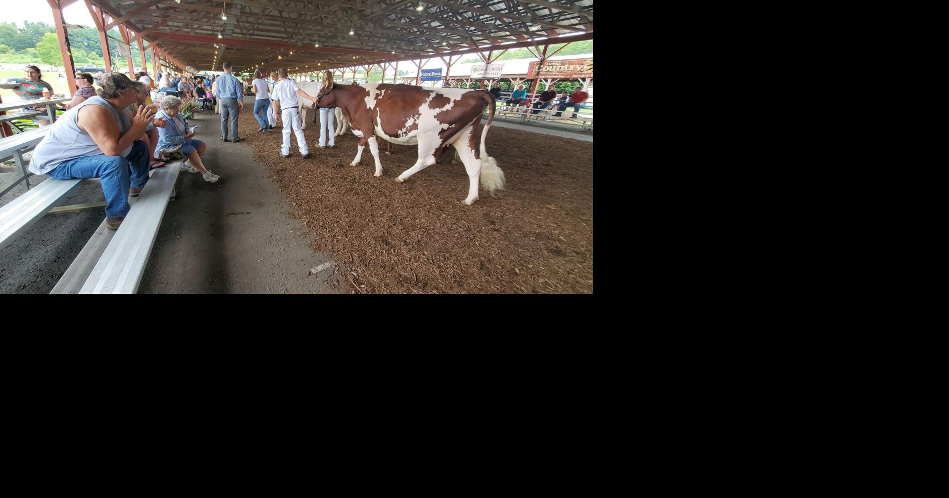 Agriculture takes center stage at The Berks County Fair Berks