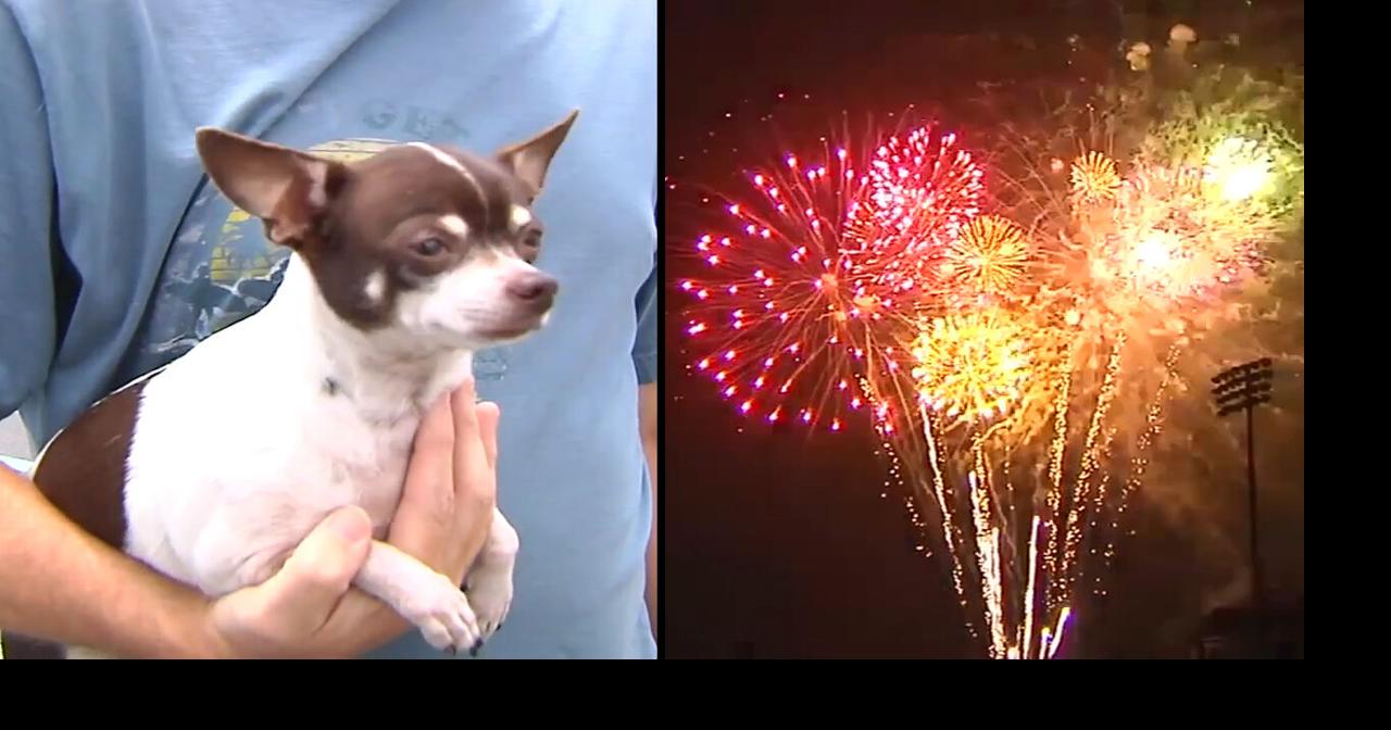 Humane Pennsylvania offers tips to help dogs stay calm during July 4th fireworks