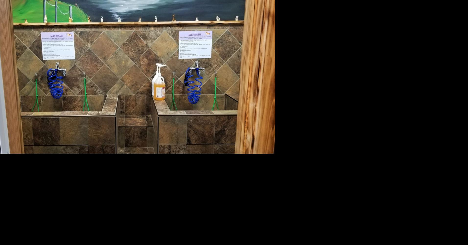 EarthWise selfwash stations