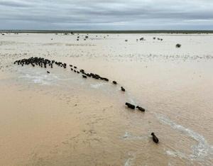 Australian PM to tour outback flood disaster zone