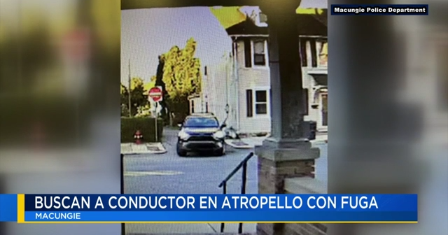 Buscan a conductor que atropelló a un niño y se fugó de la escena ...