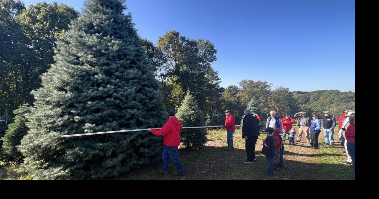 White House Christmas tree selected from Schuylkill County farm