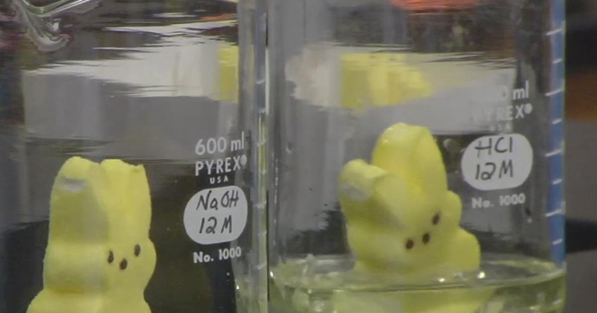 Lehrerin in Reading stellt Peeps bei wissenschaftlichen Experimenten auf die Probe | Berks regionale Nachrichten Lehrerin in Reading stellt Peeps bei wissenschaftlichen Experimenten auf die Probe | Berks regionale Nachrichten