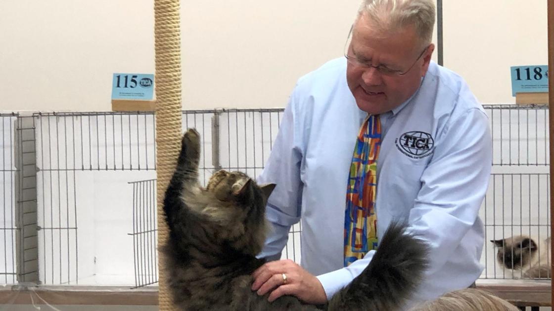 Cats Of All Kinds Compete In Karousel Kat Club Show In Berks