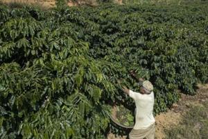 Long-awaited EU-Mercosur trade pact set for signing