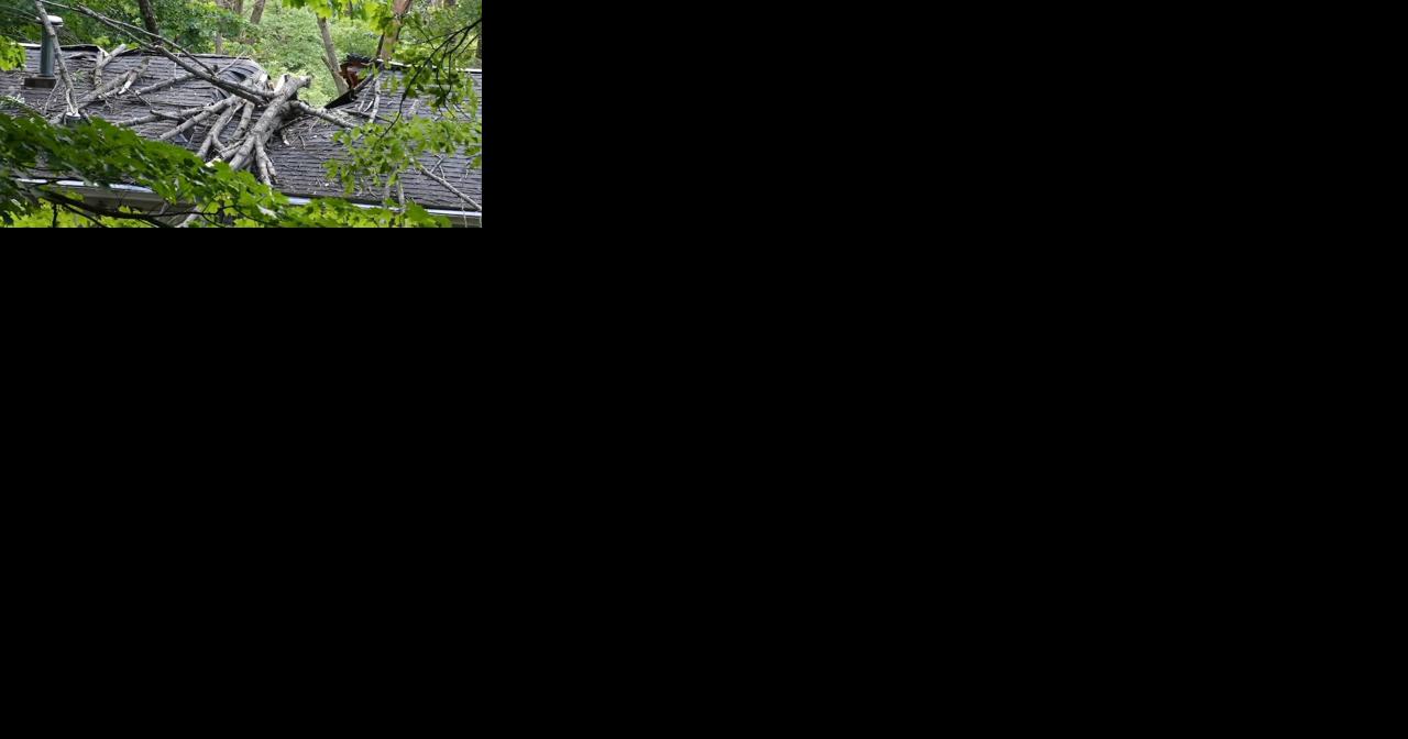 Fallen tree traps people inside Colebrookdale home - Vimarsana News