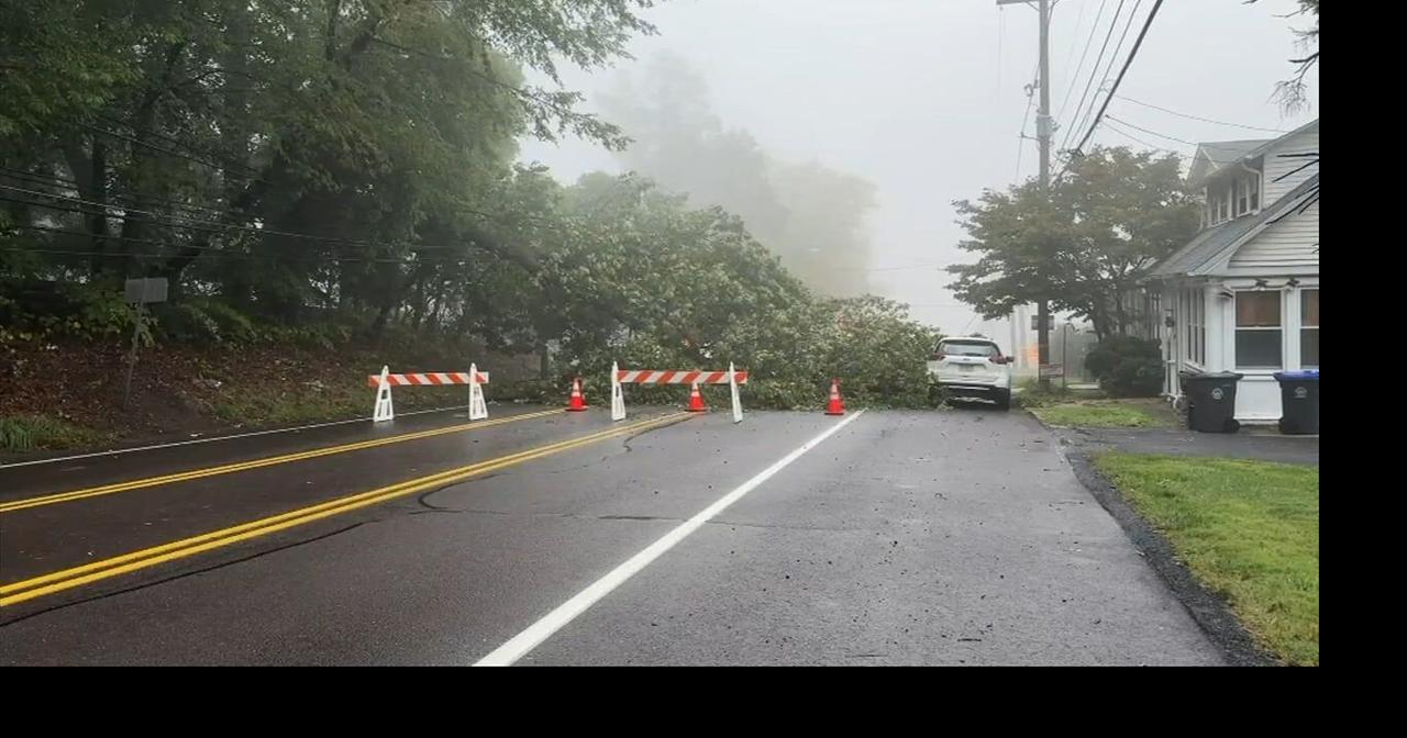 Road reopened after downed tree, wires closed it in Salisbury Township ...